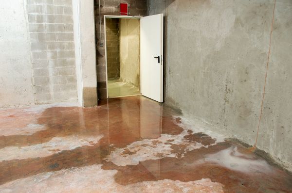 Leaking Basement Repair in Noblesville